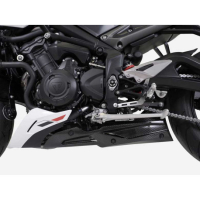 LIGNE COMPLETE ZARD TRIUMPH STREET TRIPLE 765 2023 - Options : noir, Matière : titane, Embout : embout carbone, Version : homologué