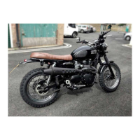 LIGNE COMPLETE ZARD CONIQUE HAUTE TRIUMPH SCRAMBLER 900 - CARBURATOR/INJECTION - Options : sans option, Version : homologué, Embout : embout inox, Matière : inox