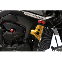 PROTECTION LATERAL RADIATEUR EAU CNC RACING DUCATI - Couleur : NOIR