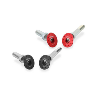 KIT BOUCHONS DE CADRE OBLIQUES CNC RACING DUCATI - Couleur : NOIR 