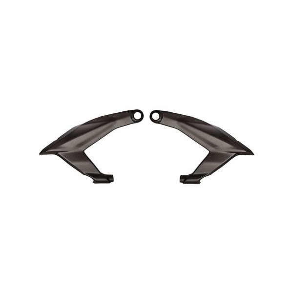 PROTECTION CADRE ARRIÈRE DUCATI PANIGALE CARBONE MAT