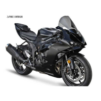 BULLE ZX-6R 2024 SPORT TOURING - Couleur : FUMÉ CLAIR