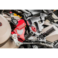 CARTER PIGNON CNC RACING DUCATI MONSTER 821 - 1200 - S - Couleur : OR