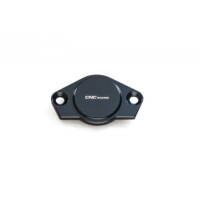 CARTER INSPECTION PHASE STREAKS - Couleur : SILVER 