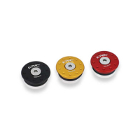 KIT DE DEUX BOUCHONS DE CADRE DUCATI - Couleur carter : OR 
