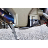 Protection de carter d'huile Ducati Panigale V4 Streetfighter V4 - Couleur : BRONZE