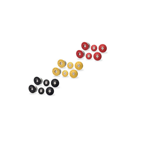 KIT DE BOUCHONS DE CADRE DUCATI MONSTER 937 - Couleur : OR
