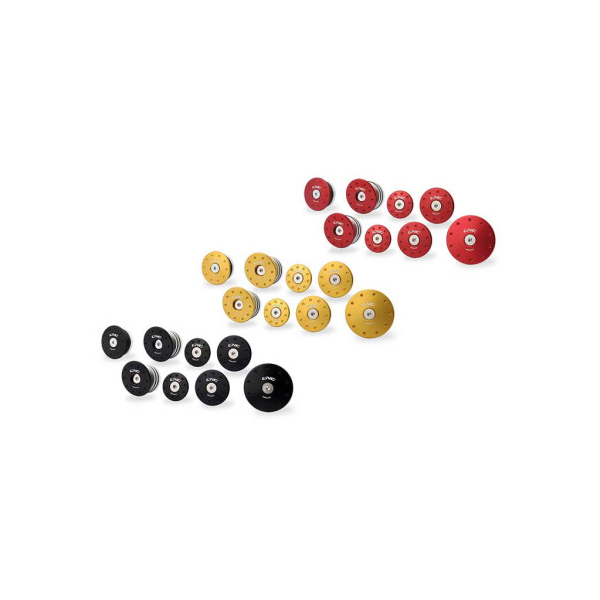 KIT DE BOUCHONS DE CADRE DUCATI MONSTER 937 - Couleur : OR