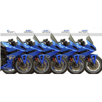BULLE ZERO GRAVITY DOUBLE COURBURE SUZUKI GSX-8R 2024/* - Couleur : FUMÉ FONCÉ