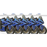 BULLE ZERO GRAVITY DOUBLE COURBURE SUZUKI GSX-8R 2024/* - Couleur : FUMÉ FONCÉ