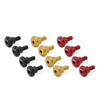 KIT VISSERIE PANNEAUX LATERAUX CNC RACING DUCATI HYPERMOTARD 698 MONO - Couleur : OR 