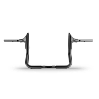 GUIDON ZARD BULL 10