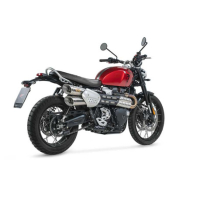 SILENCIEUX INOX ZARD TRIUMPH SCRAMBLER 1200 - Version : racing, Options : sans option, Matière : inox, Embout : embout carbone 