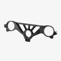 TES DE FOURCHE DUCATI PANIGALE V4s 2025 BONAMICI RACING - Couleur : SILVER 