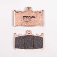 PLAQUETTES DE FREIN FRITTÉS TRAIL/TOURING CM55 BRAKING