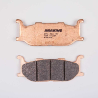 PLAQUETTES DE FREIN FRITTÉS TRAIL/TOURING P30 BRAKING