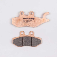 PLAQUETTES DE FREIN FRITTÉS TRAIL/TOURING P30 BRAKING