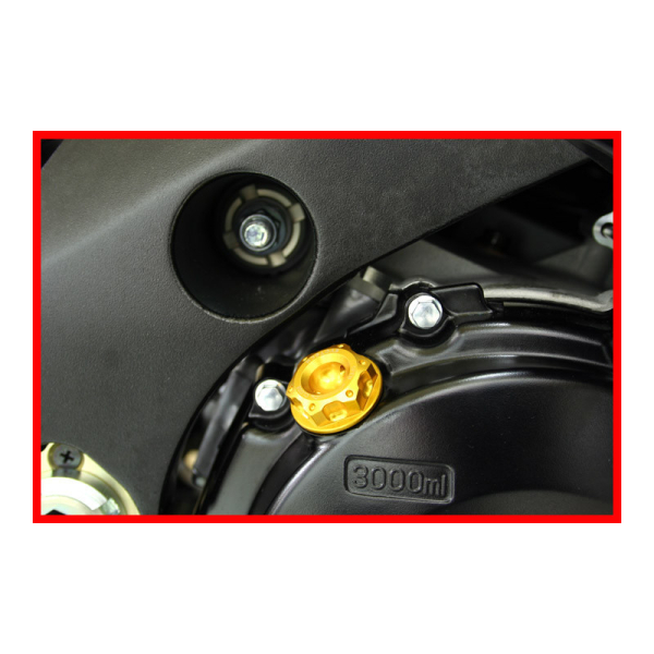BMW S1000RR / S1000XR BOUCHON DE CARTER D HUILE - Couleur : Rouge