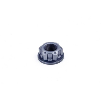 ECROU D AXE DE BRAS OSCILLANT - ROUE ARRIERE - COLONNE EVOTECH - Couleur : Noir Mat