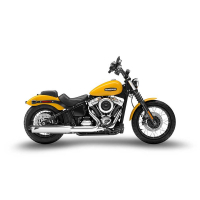 SILENCIEUX ZARD SOFTAIL M8 2025 - Version : racing, Matière : inox, Embout : embout aluminium, Options : chrome