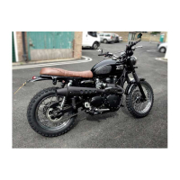 LIGNE COMPLETE ZARD CONIQUE HAUTE TRIUMPH SCRAMBLER 900 - CARBURATOR/INJECTION - Options : sans option, Matière : inox, Embout : embout inox, Version : INJECTION 2008/2016