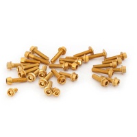 KIT VISSERIE CARENAGE EVOTECH HONDA CBR 600 RR '24-'25 - Couleur : OR