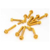 KIT VISSERIE MOTEUR EVOTECH BENELLI TORNADO 550 '25 - Couleur : SILVER