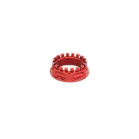 ECROU EVOTECH TRIUMPH SPEED TRIPLE R/ S/ RS M38X1.5 - Couleur : OR
