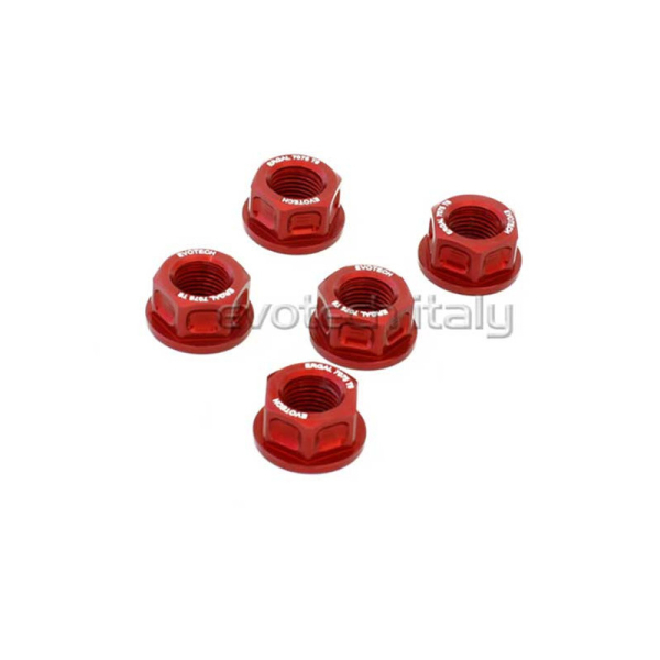KIT 5 ECROUS DE COURONNE M10X1 - Couleur : Silver