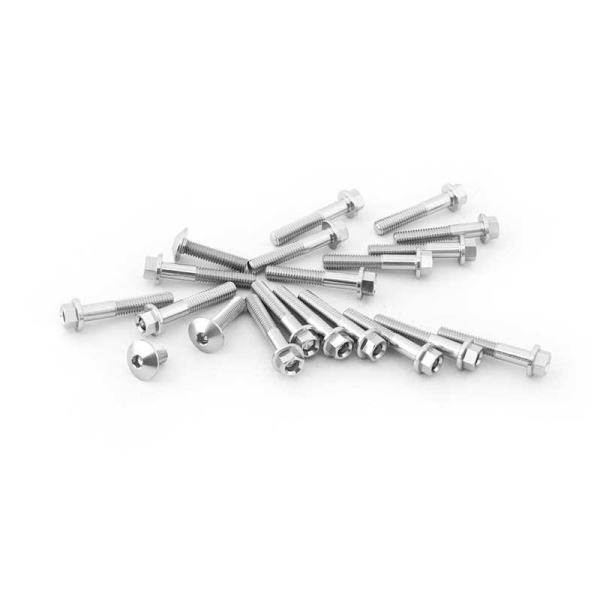 KIT VISSERIE DE MOTEUR CF MOTO 450 MT - Couleur : Silver