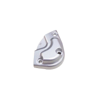 PROTECTION DE MOTEUR PICK UP DROIT TRIUMPH SPEED 1200 RS 2025 - Couleur : OR