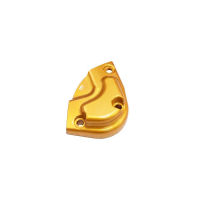 PROTECTION DE MOTEUR PICK UP DROIT TRIUMPH SPEED 1200 RS 2025 - Couleur : OR