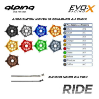 ROUE AV  ALPINA TUBELESS DUCATI DESMO 450 MX 3,5 X 17 CERCLE FORGE PACK RIDE