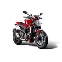 GRILLE DE PROTECTION MOTEUR DUCATI MONSTER 1200 (2017+)