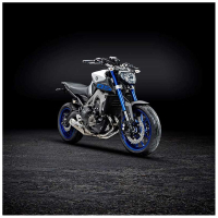EP AXE DE PROTECTION DE ROUE YAMAHA MT09 SP