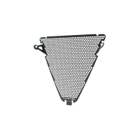 PROTECTION DE RADIATEUR POSITION BASSE DUCATI PANIGALE V2 (2022+)