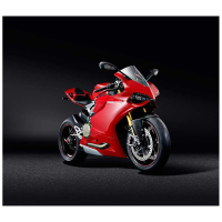 PROTECTION DE RADIATEUR POSITION BASSE DUCATI PANIGALE V2 (2022+)