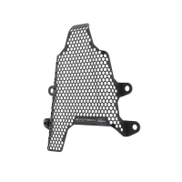 EP DUCATI PANIGALE V4 S CORSE PROTECTION RESERVOIR