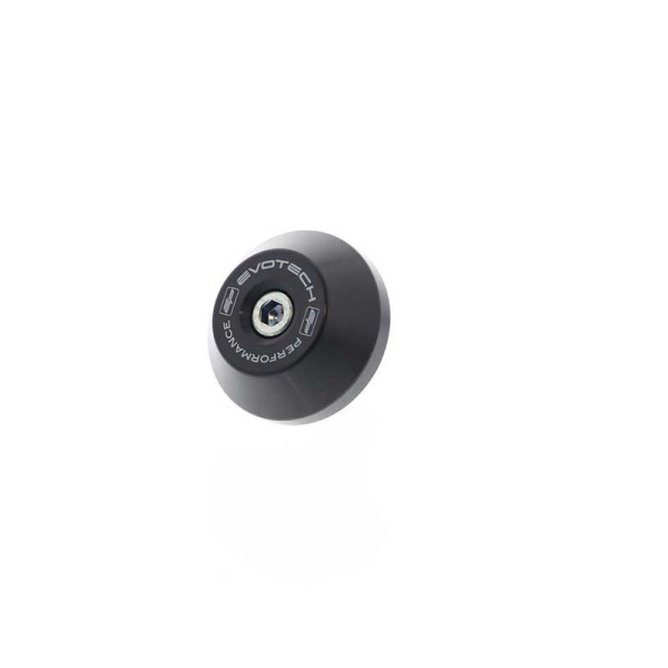 ROULETTE DE PROTECTION BRAS OSCILLANT BMW R NINE T (2013+)