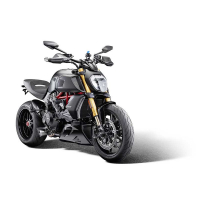EP DUCATI DIAVEL 1260 LAMBORGHINI GRILLE RADIATEUR HUILE