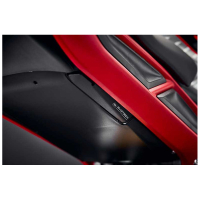 EP TRIUMPH STREET TRIPLE R FOOTREST BLANKING PLATES