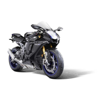 PROTECTION DE RADIATEUR YAMAHA R1 (2015+)