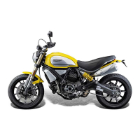 PROTECTION MOTEUR DUCATI SCRAMBLER 1100
