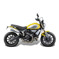 PROTECTION MOTEUR DUCATI SCRAMBLER 1100