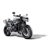 ROULETTES DE PROTECTION D'AXE DE ROUE TRIUMPH SPEED TRIPLE