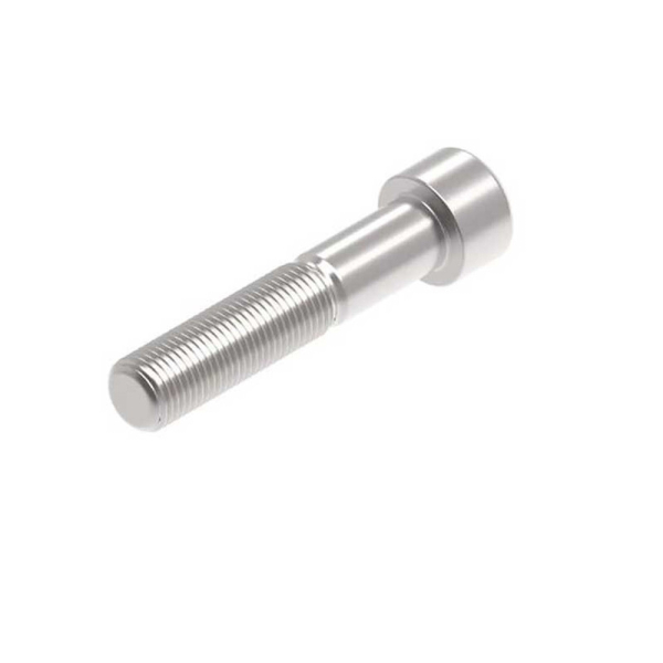 EVOTECH M12 X 60 X 1.25MM VIS  - 316 S/S