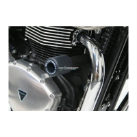 ROULETTES DE PROTECTION TRIUMPH