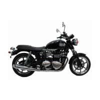 ROULETTES DE PROTECTION TRIUMPH