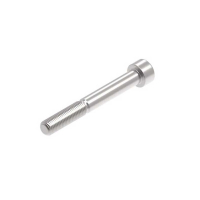 EVOTECH M10 X 80 X 1.25MM VIS  - 316 S/S 
