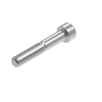 EVOTECH M10 X 60 X 1.5MM VIS  - 316 S/S 